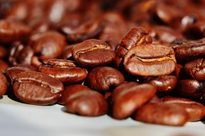 graines de café