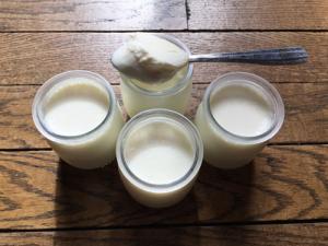 recette yaourt maison