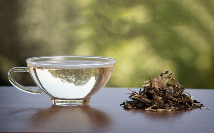 Tous les secrets du thé blanc : bienfaits, infusion et mode de consommation